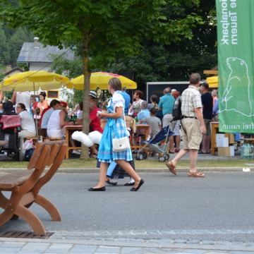 3. Edelweiss Trophy 2013 – Foto 193