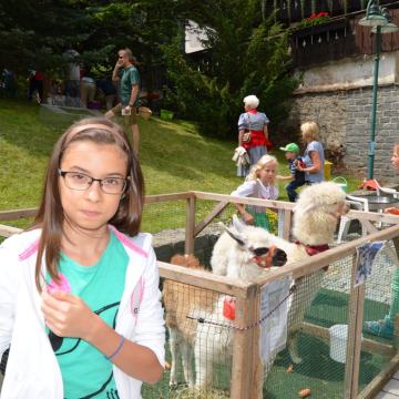 4. Edelweiss Trophy 2014 – Foto 77