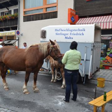 4. Edelweiss Trophy 2014 – Foto 437