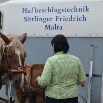 4. Edelweiss Trophy 2014 – Foto 438